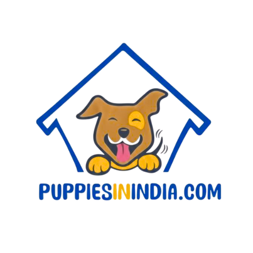 Puppies in india 